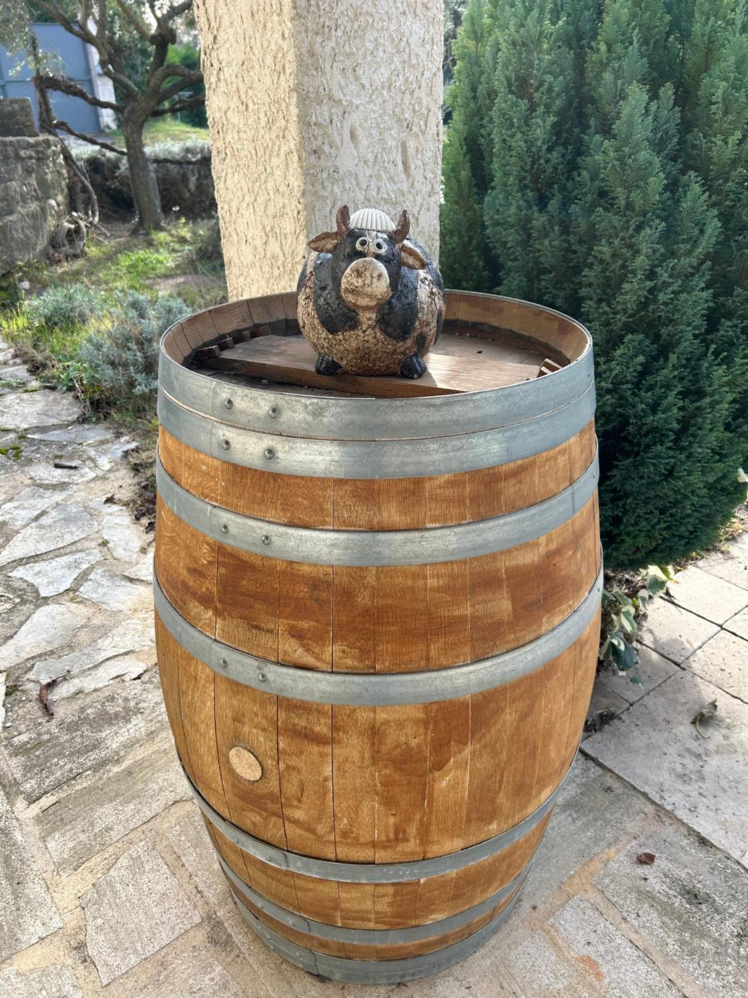 Saint-Pierre-de-Vassols Le Mazet Des Joncs En Provenceヴィラ エクステリア 写真