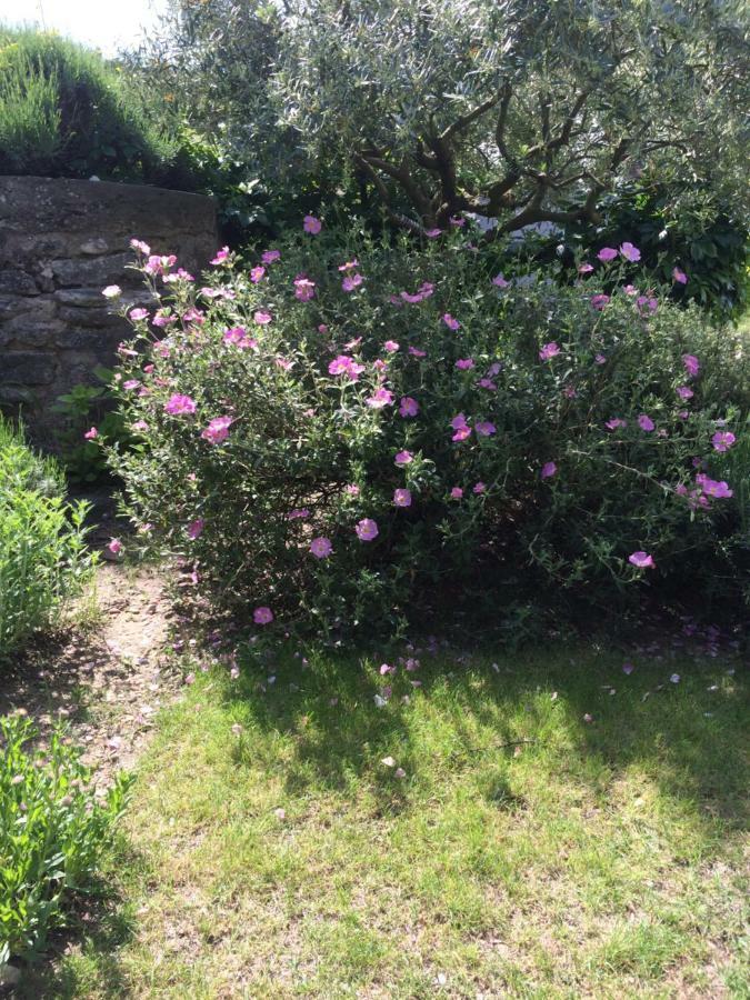 Saint-Pierre-de-Vassols Le Mazet Des Joncs En Provenceヴィラ エクステリア 写真