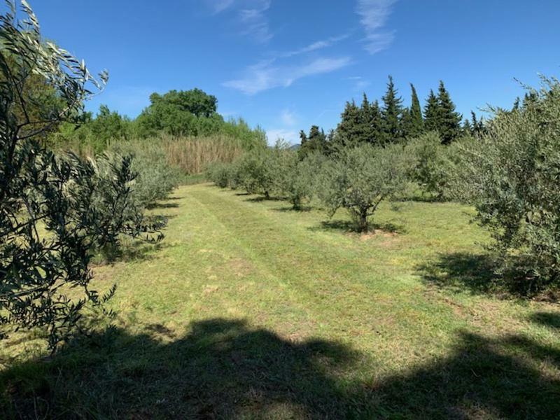 Saint-Pierre-de-Vassols Le Mazet Des Joncs En Provenceヴィラ エクステリア 写真